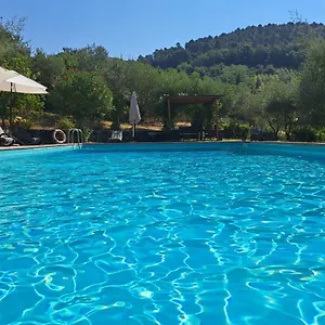 agriturismo-poggio-allolmo.it-tuscanyhotel.com/